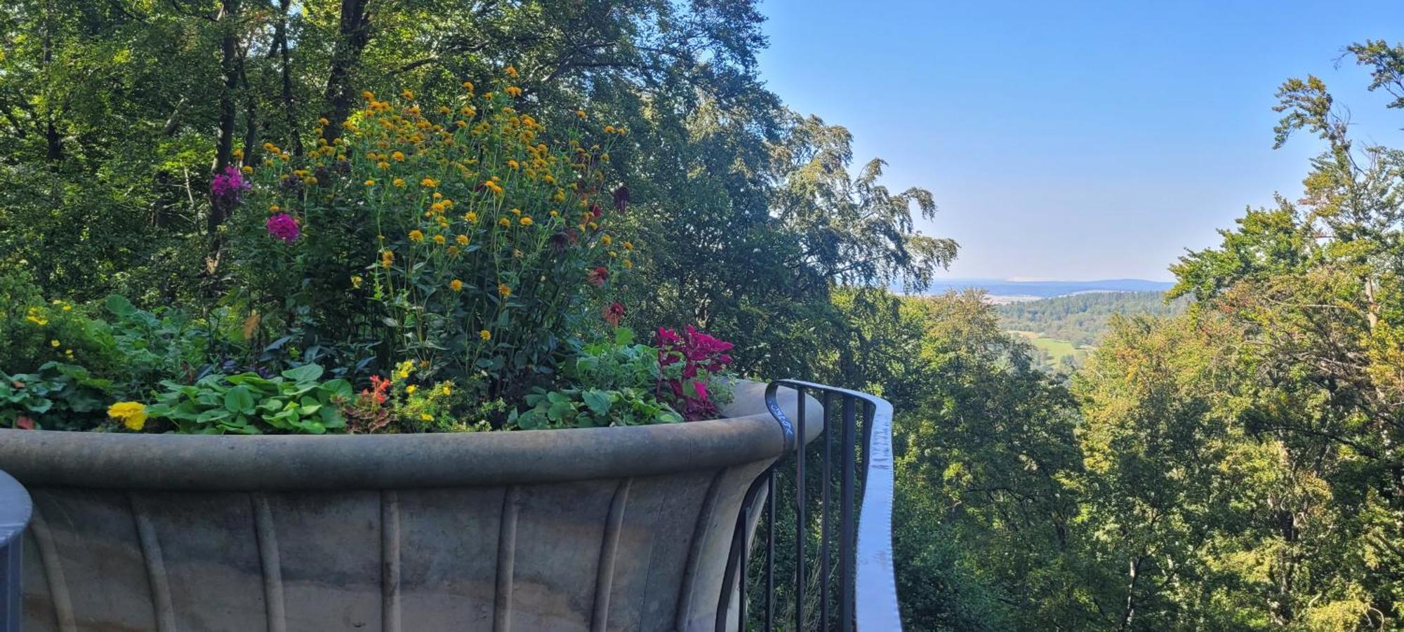 Villa Charlotte Bad Liebenstein Eksteriør billede