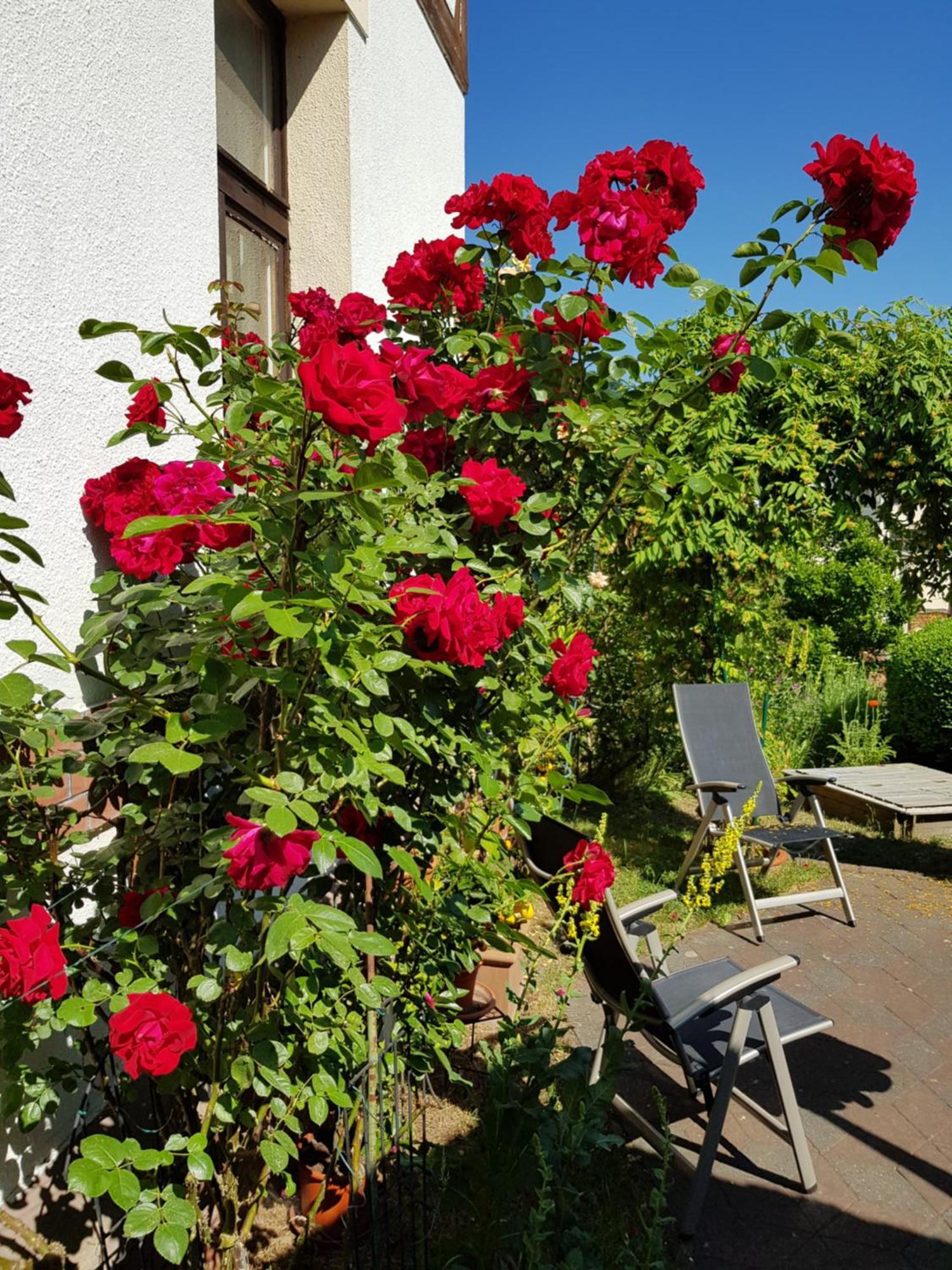 Villa Charlotte Bad Liebenstein Eksteriør billede